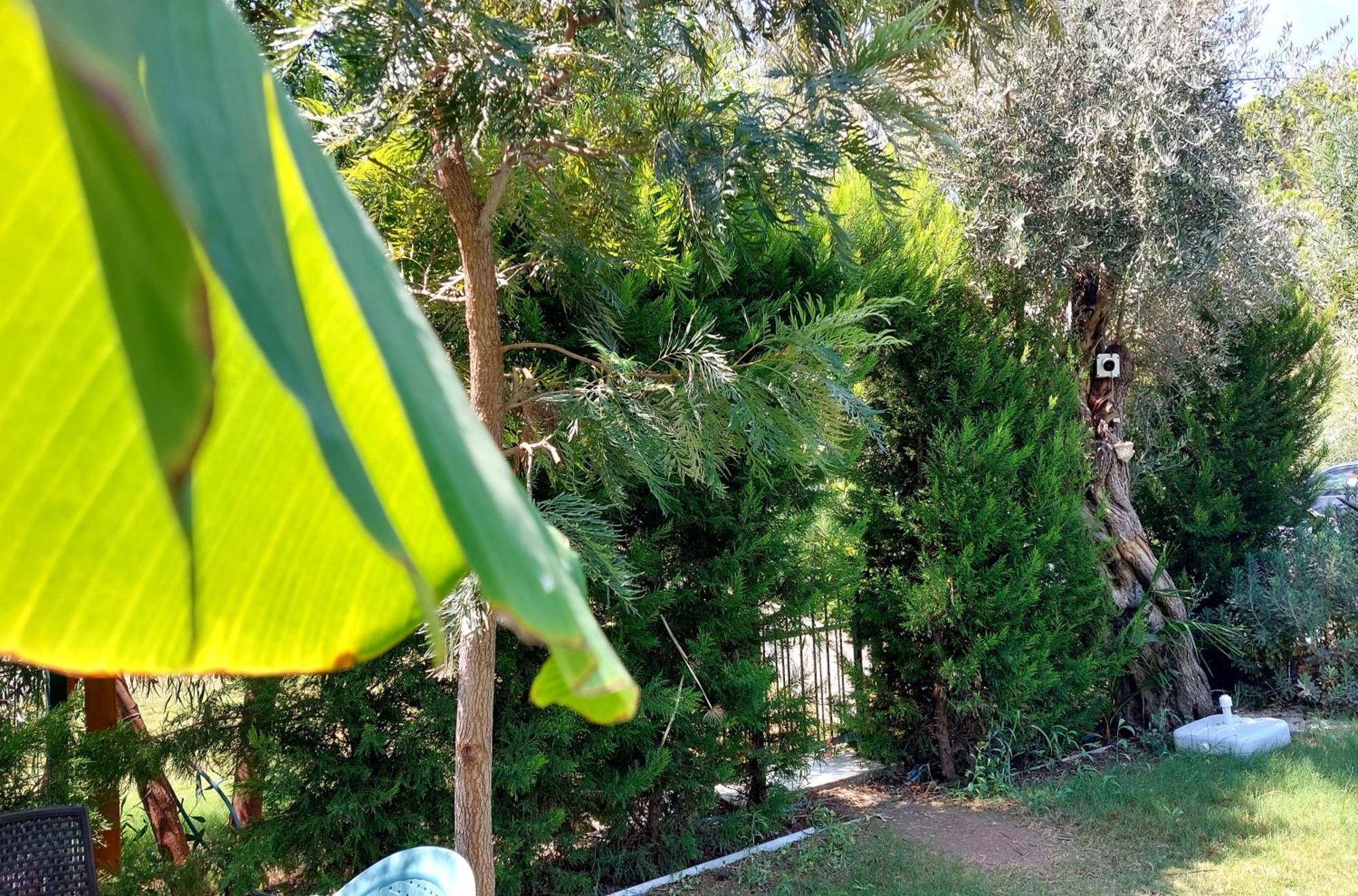 Palmiyem Apart Otel Seferihisar Bagian luar foto